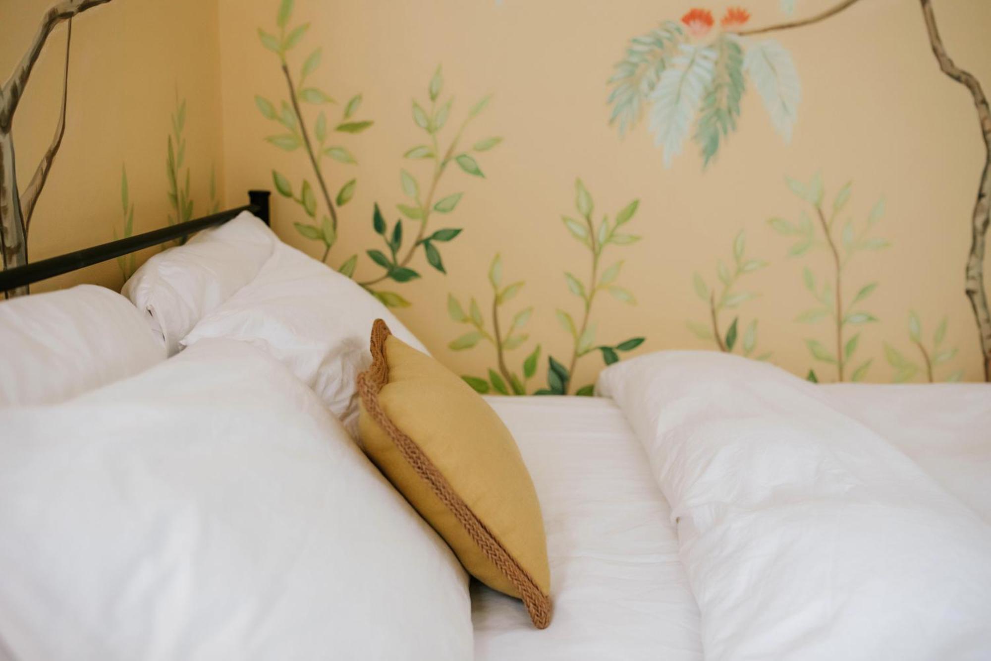 Cozy Cottage - Walk To Campus, Stadium, Downtown 阿森斯 外观 照片